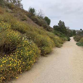 LMU Hiking Trail - Hiking Near Me - Los Angeles, California