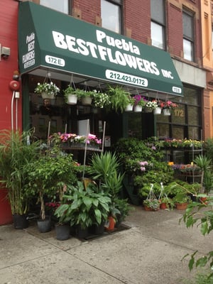 106 Flower Shop by null