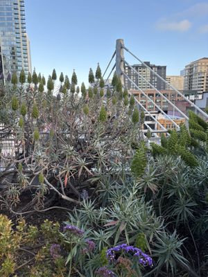 Salesforce Park by null