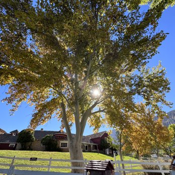 Spring Mountain Ranch State Park - Parks Near Me - Blue Diamond, Nevada
