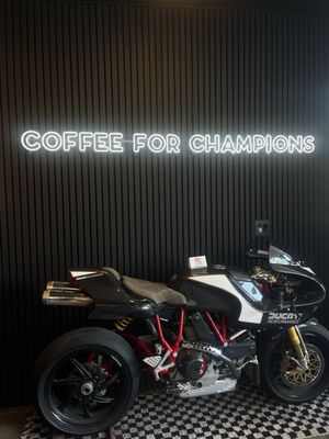 Midnight Animal Coffee by null