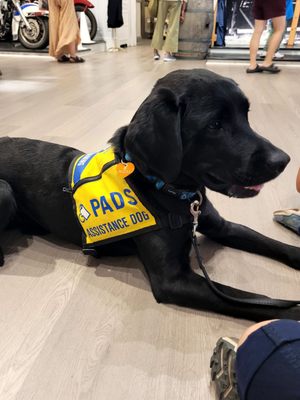 Vancouver Police Museum & Archives by null