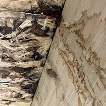 Chicago Building Inspections - Home Inspectors Near Me