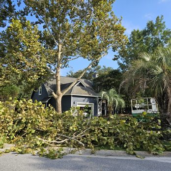 Mobile Landscaping and Tree Trimming - Tree Services Near Me - Charleston, South Carolina Mobile Landscaping and Tree Trimming - Tree Services Near Me - Charleston, South Carolina