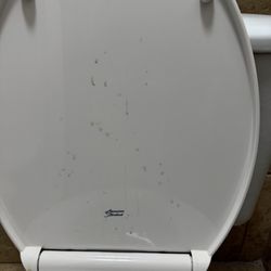 Comfort Inn - This is a picture of human feces all over the toilet seat cover, which I had to have them bring housekeeping here again this place is gross