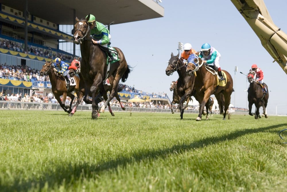 Champions at Greenwood