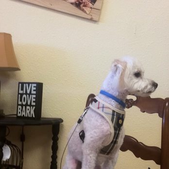 PJ's Pet Cafe - "Live Love Bark" - Pet Stores Near Me - Long Beach, California