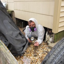 Complete Home Inspection - Craig going in a crawl space that most inspectors would not enter