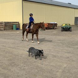 Hart Ranch
