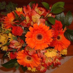 Lamb's Wild Flowers Florist and Gifts - Every day someone's life should be brighten up with flowers.
