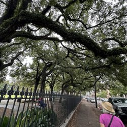 Canopy