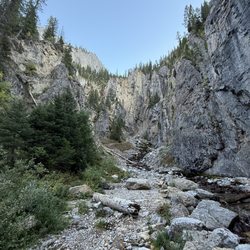 Bridger- teton Intermiten Springs