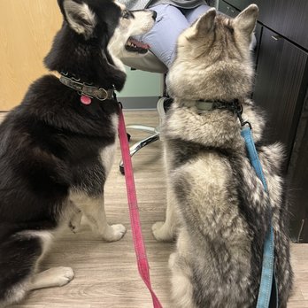 Milwaukee Vet Clinic - Veterinarians Near Me - Milwaukee, Wisconsin