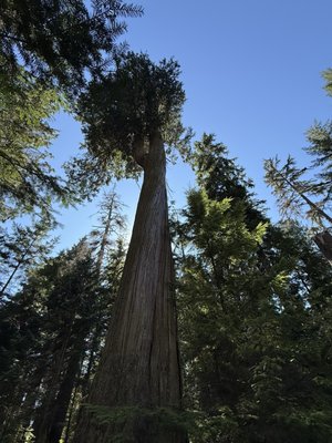 Cycle City Tours And Bike Rentals by null