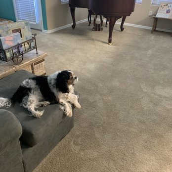 Desert Springs Chemdry - Carpet Cleaning Near Me - Las Vegas, Nevada Desert Springs Chemdry - Carpet Cleaning Near Me - Las Vegas, Nevada