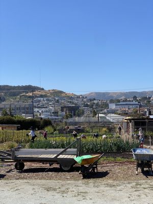 Florence Fang Community Farm by null