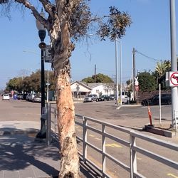 25th & Commercial Trolley Station - The history of the long neighborhoods of city you see the older houses and some that have been here in 1800s.