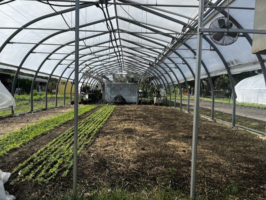 Meacham Urban Farm by null