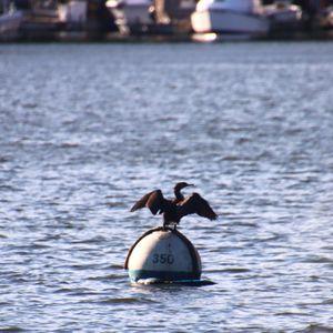 Goddard Memorial State Park on Yelp