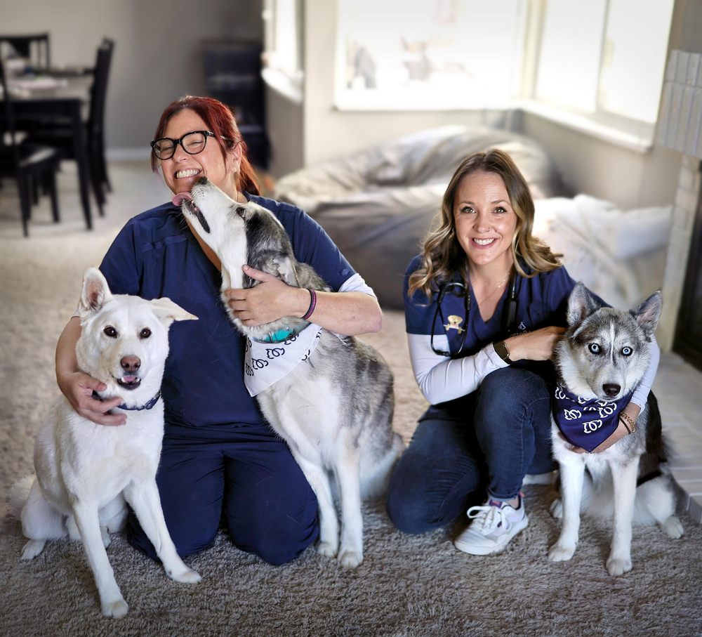 BETTER VET Updated June 2024 12 Photos Baltimore, Maryland