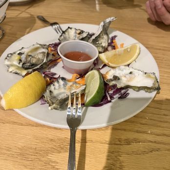 The Wharf - Oysters on the half-shell - Seafood Near Me - Fort Bragg, California The Wharf - Oysters on the half-shell - Seafood Near Me - Fort Bragg, California
