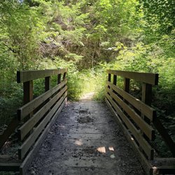 Stub Stewart State Park - Bridge