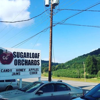 Sugarloaf Orchards - a sign for sugarloaf orchards - Fruits & Veggies Near Me - Taylorsville, North Carolina Sugarloaf Orchards - a sign for sugarloaf orchards - Fruits & Veggies Near Me - Taylorsville, North Carolina