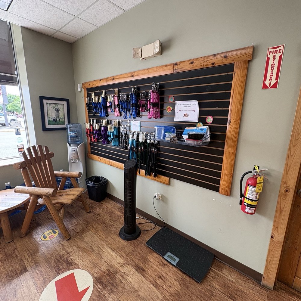 Camp Bow Wow - Oak Park - Dog Collars, Water, FireExtinguisher - Pet Training Near Me - Oak Park, Illinois Camp Bow Wow - Oak Park - Dog Collars, Water, FireExtinguisher - Pet Training Near Me - Oak Park, Illinois