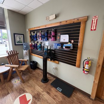Camp Bow Wow - Oak Park - Dog Collars, Water, FireExtinguisher - Pet Training Near Me - Oak Park, Illinois