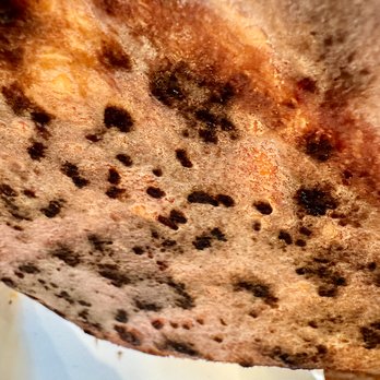 Frankie & Joes Pizza - Underside leoparding - perfect! - Pizza Near Me - Boca Raton, Florida Frankie & Joes Pizza - Underside leoparding - perfect! - Pizza Near Me - Boca Raton, Florida