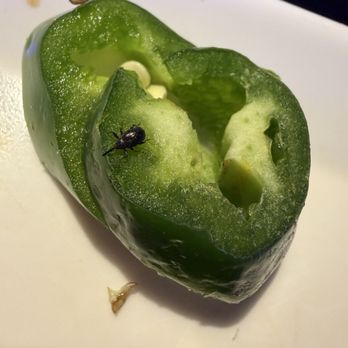 Gen Korean BBQ House - Baby beetle - Korean Near Me - Cerritos, California Gen Korean BBQ House - Baby beetle - Korean Near Me - Cerritos, California