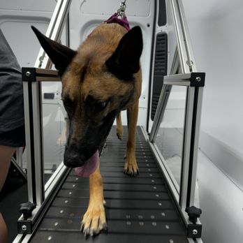 Zoomies Mobile Dog Gym - Pet Services Near Me Zoomies Mobile Dog Gym - Pet Services Near Me