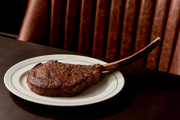 Stock & Bond MN by null