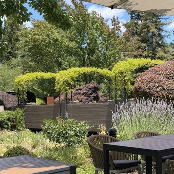 J Vineyards & Winery - The grounds - Wineries Near Me - Healdsburg, California