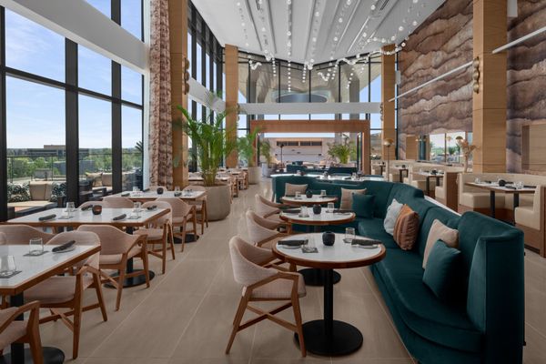 Overstory Rooftop Bar by null