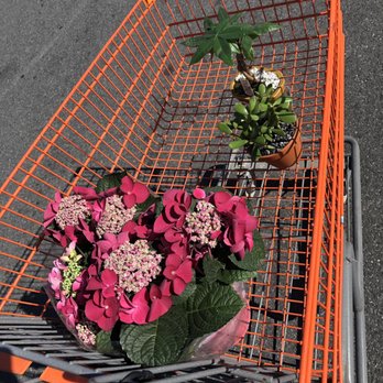 The Home Depot - Nurseries & Gardening Near Me - Bronx, New York