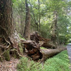 Cauley Creek Park
