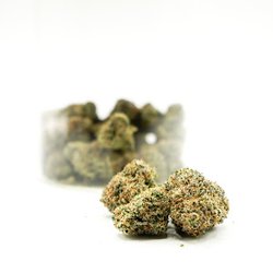 The Hempire Collective Weed Dispensary - The Hempire Collective Weed Dispensary