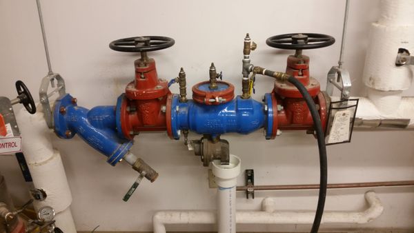 Backflow Doctors