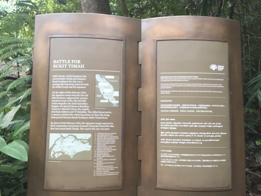 Bukit Timah Hill by null