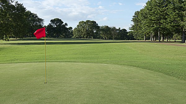 ORGILL PARK GOLF COURSE 9080 Bethuel Rd Millington Tennessee Golf