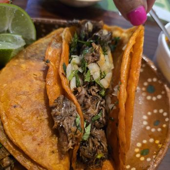 Maya’s Mexican Grill - Beef biria tacos. Delish! - Mexican Near Me - Shelbyville, Indiana