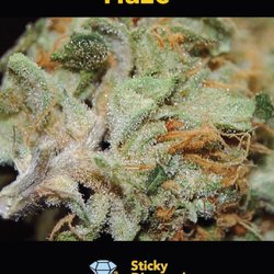 Sticky Diamond