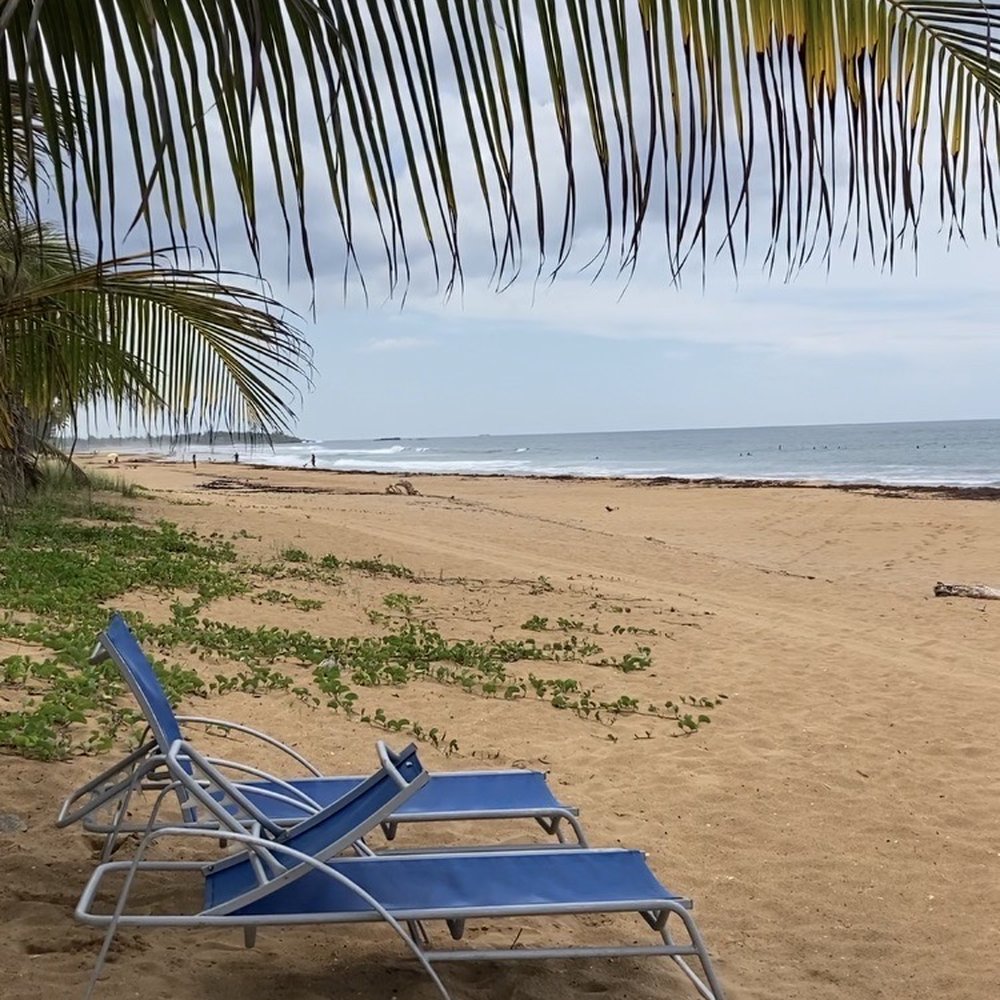 Drift - Shoreline beneath the restaurant patio. - Seafood Near Me - Loiza, Puerto Rico Drift - Shoreline beneath the restaurant patio. - Seafood Near Me - Loiza, Puerto Rico