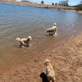 Stratton Open Space - Dogs enjoying the lake ~ - Parks Near Me - Colorado Springs, Colorado Stratton Open Space - Dogs enjoying the lake ~ - Parks Near Me - Colorado Springs, Colorado
