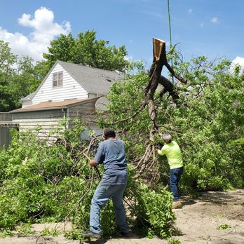Jeff's Tree Service - Got it! - Tree Services Near Me - Sioux City, Iowa Jeff's Tree Service - Got it! - Tree Services Near Me - Sioux City, Iowa