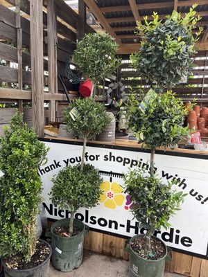NICHOLSON HARDIE - NURSERY AND GARDEN CENTER - Updated February 2026