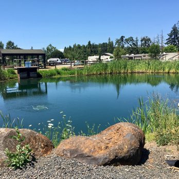 Silver Spur Rv Park - Our campsite #92... right by the fish pond - Campgrounds Near Me - Silverton, Oregon Silver Spur Rv Park - Our campsite #92... right by the fish pond - Campgrounds Near Me - Silverton, Oregon