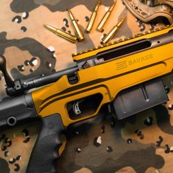American Arsenal