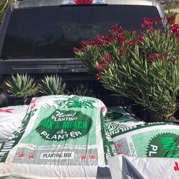 Curby's Nursery - 52 plants and soil! Two trips! But def worth it! - Nurseries & Gardening Near Me - Temecula, California